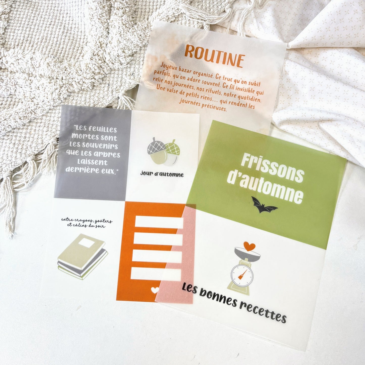 Assortiment de papiers calque - Des châtaignes et une boîte à goûter