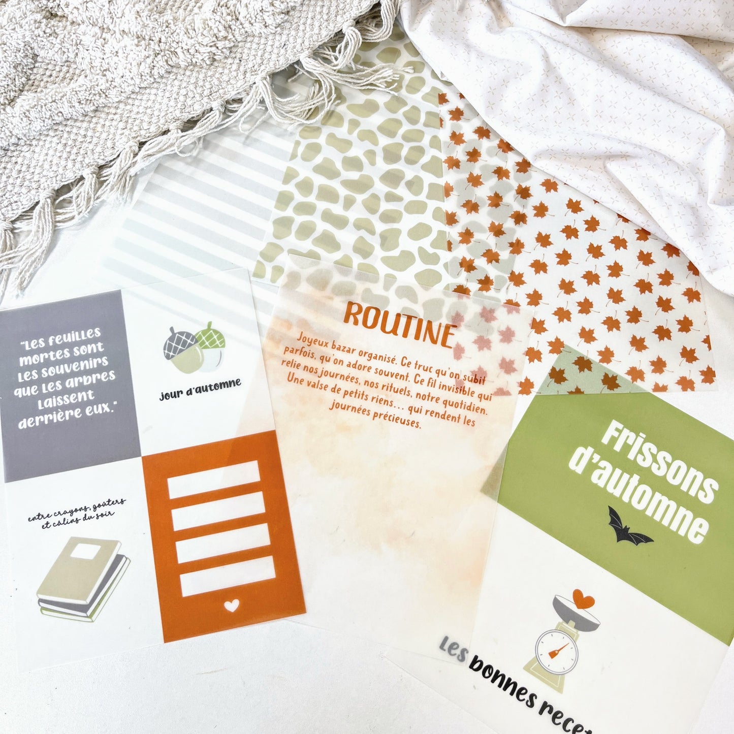 Assortiment de papiers calque - Des châtaignes et une boîte à goûter