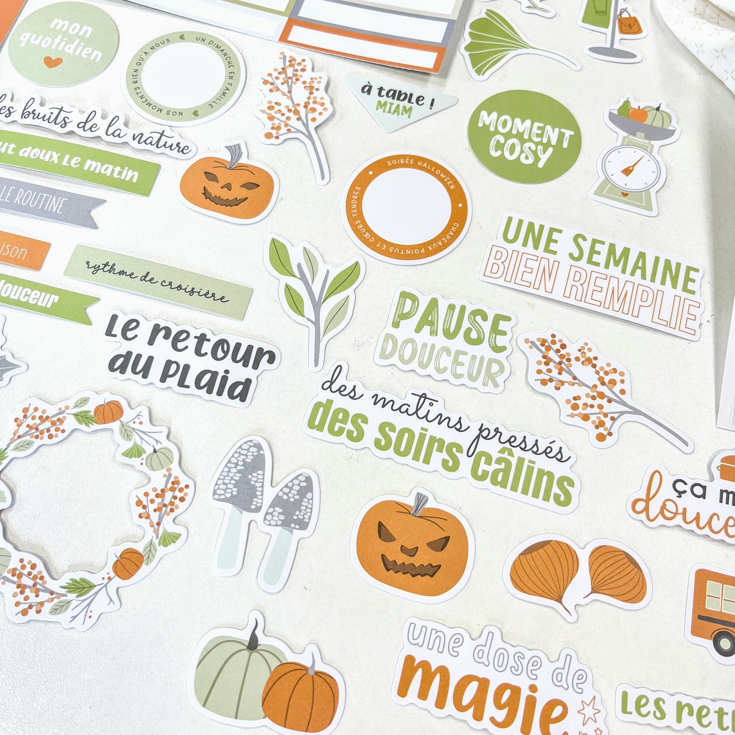 Die-cuts - Des châtaignes et une boîte à goûter