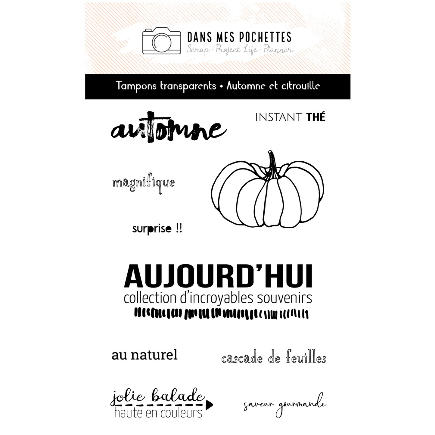 Tampons transparents - Automne et citrouille