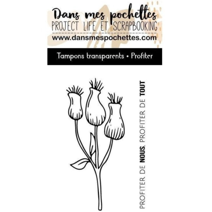 Tampons transparents - Profiter