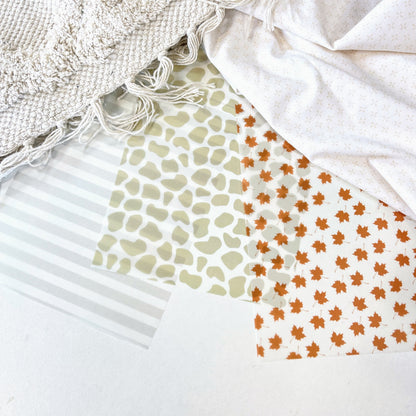 Assortiment de papiers calque - Des châtaignes et une boîte à goûter