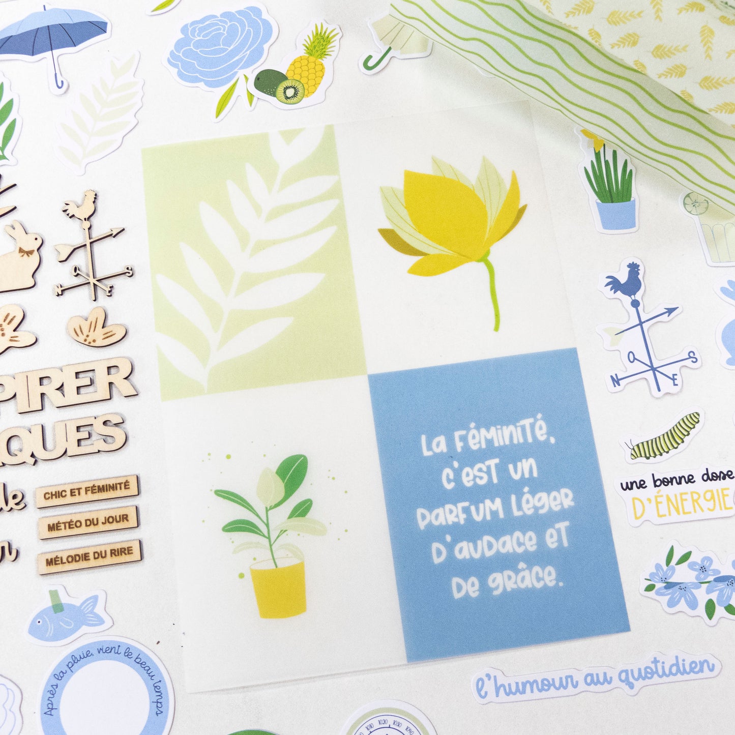Assortiment de papiers calque - Des fleurs et des saveurs