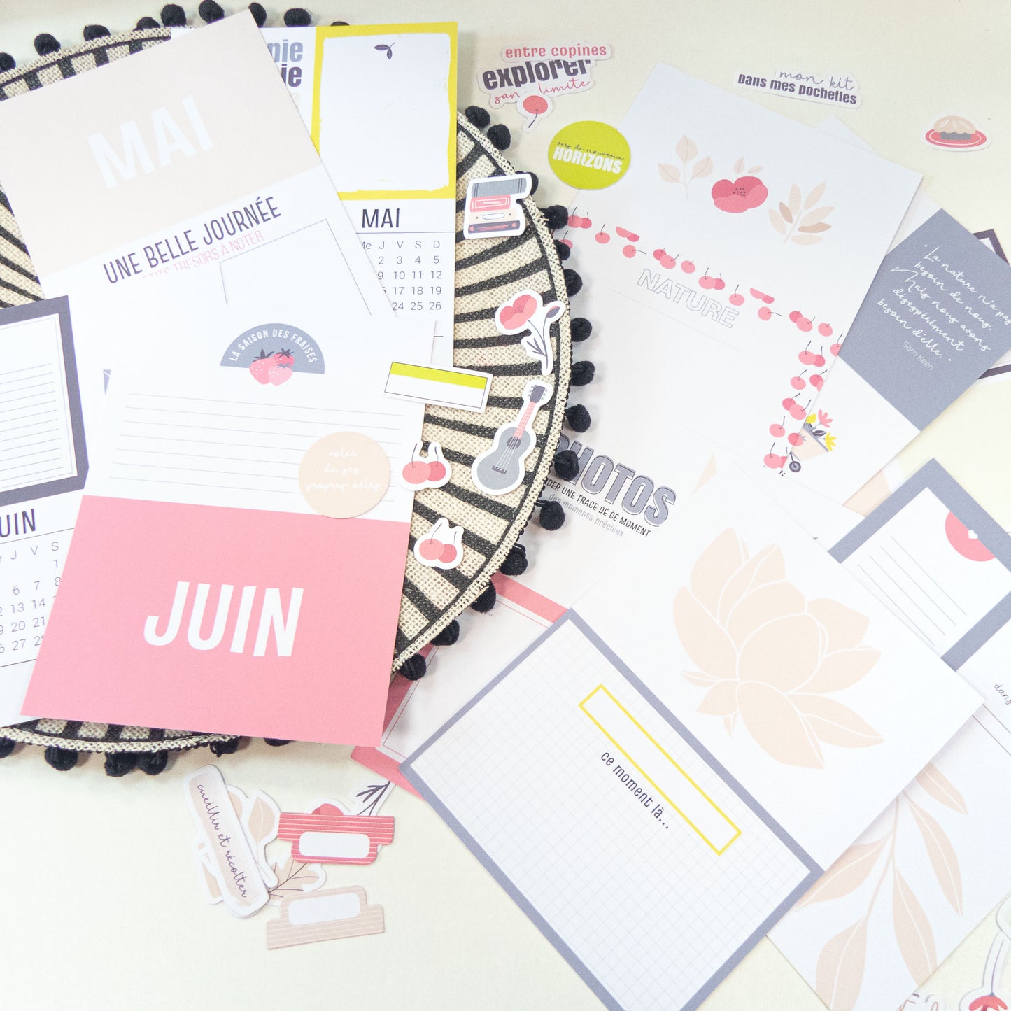 Papiers et cartes Mon Journal de l'année - Libre comme l'air