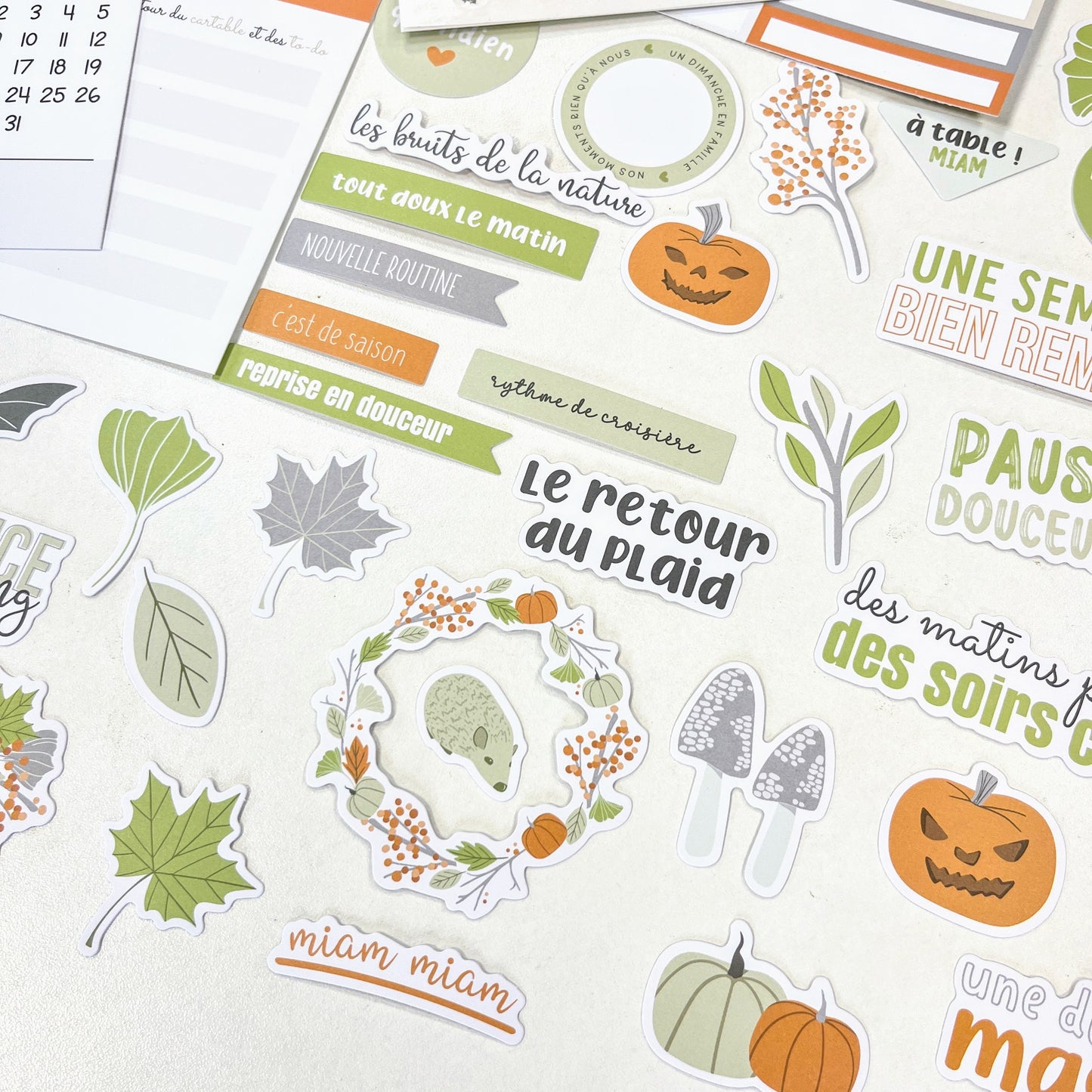Die-cuts - Des châtaignes et une boîte à goûter