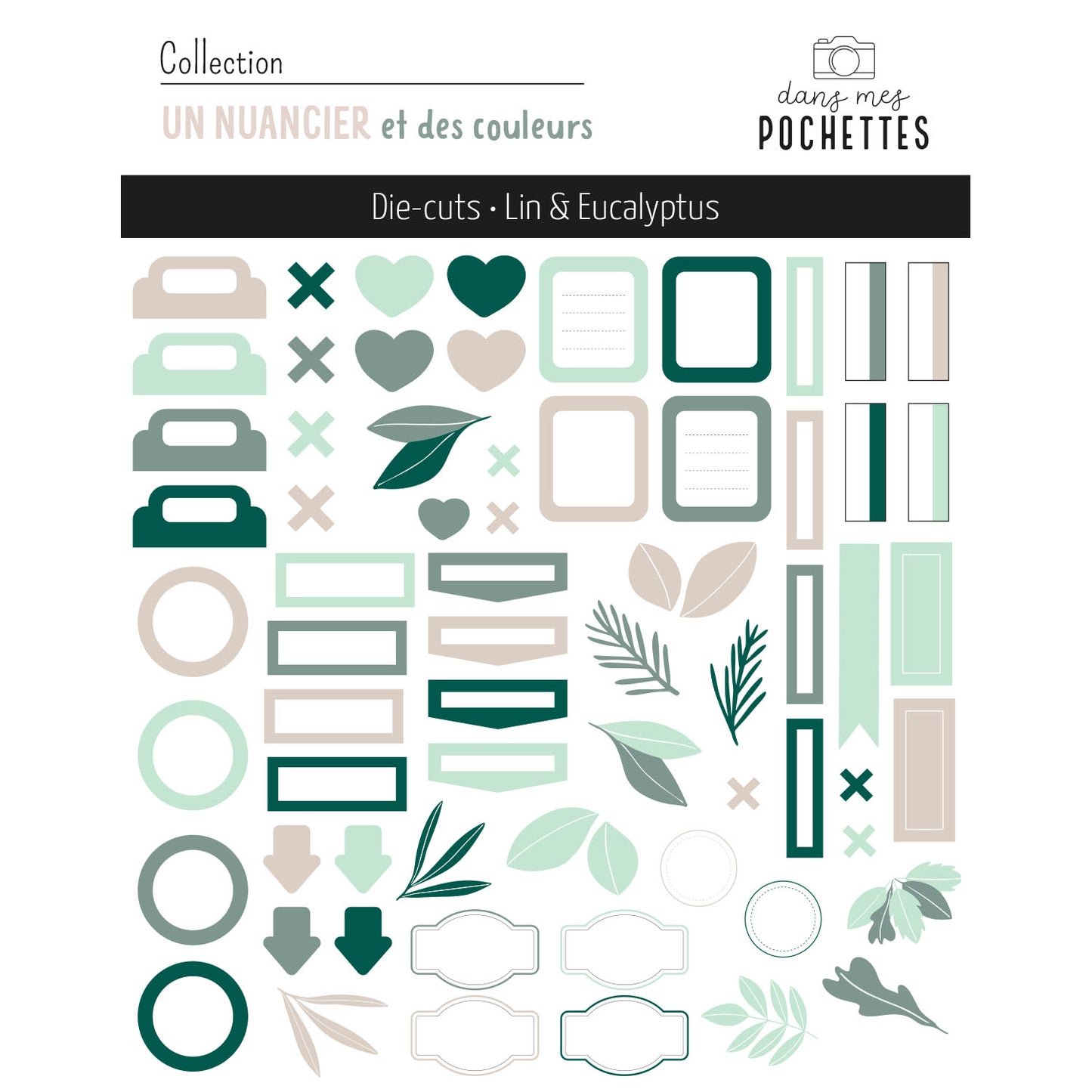 Die-cuts - Lin & Eucalyptus