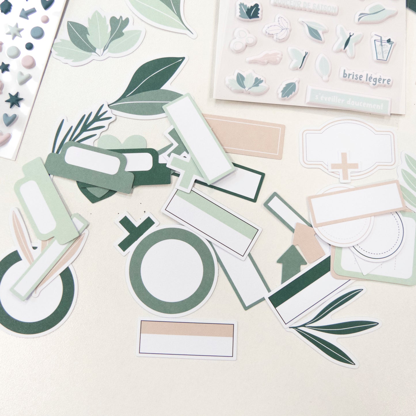 Die-cuts - Lin & Eucalyptus