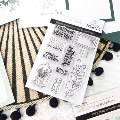 Planche de tampons clear « Herbes suspendues » avec motifs botanique et encadrement, photographie détaillée sur fond papier.