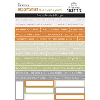 Planche de mots à découper - Des châtaignes et une boîte à goûter