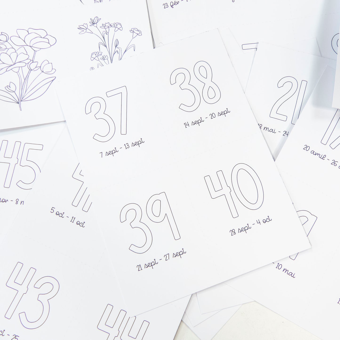 Papiers et cartes numérotées - Les semaines - 2026