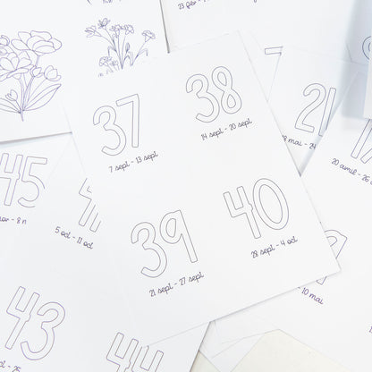 Papiers et cartes numérotées - Les semaines - 2026