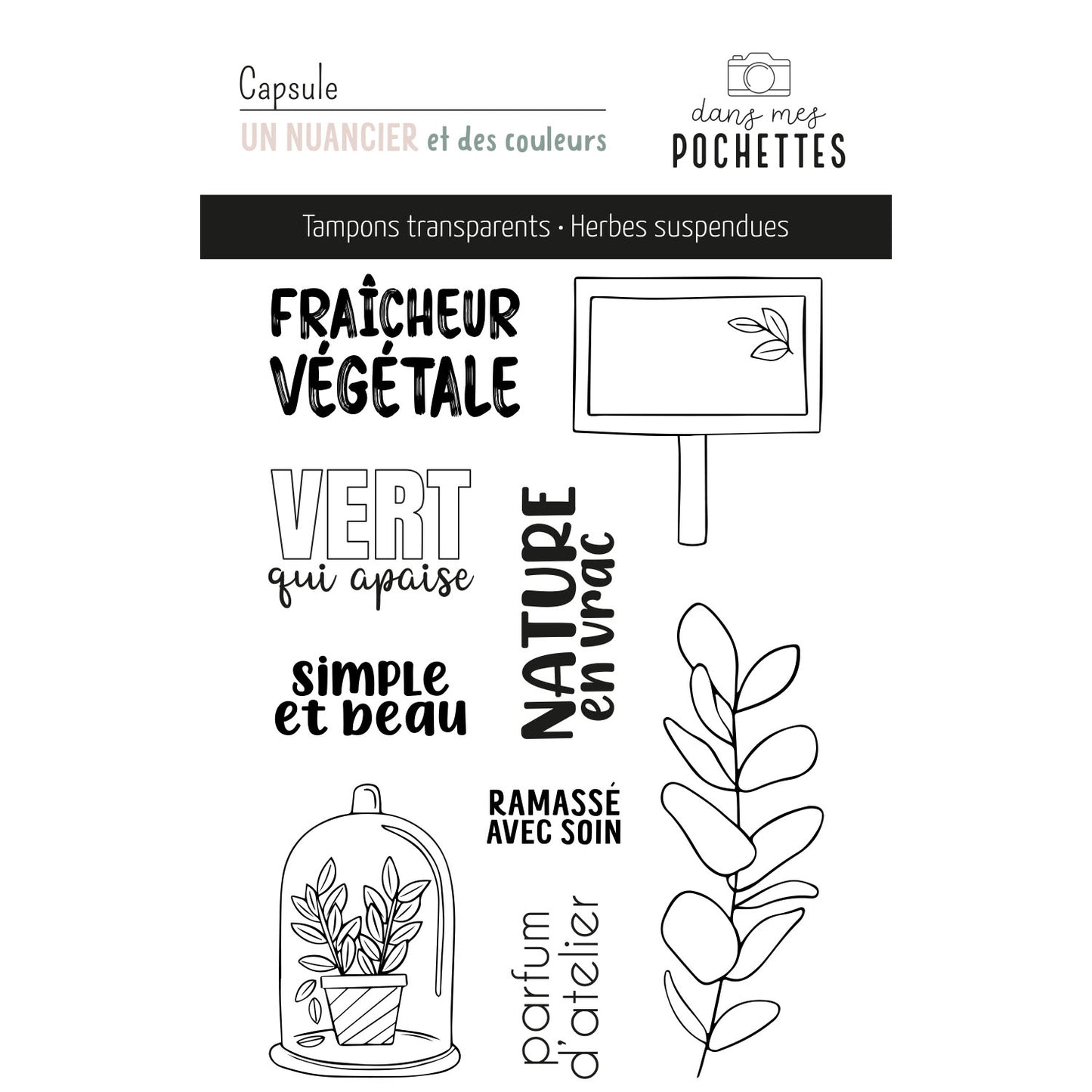 Planche de tampons clear – Herbes suspendues: motifs végétaux, plantes en pot sous cloche, et inscriptions végétales comme Fraîcheur végétale et Vert qui apaise.