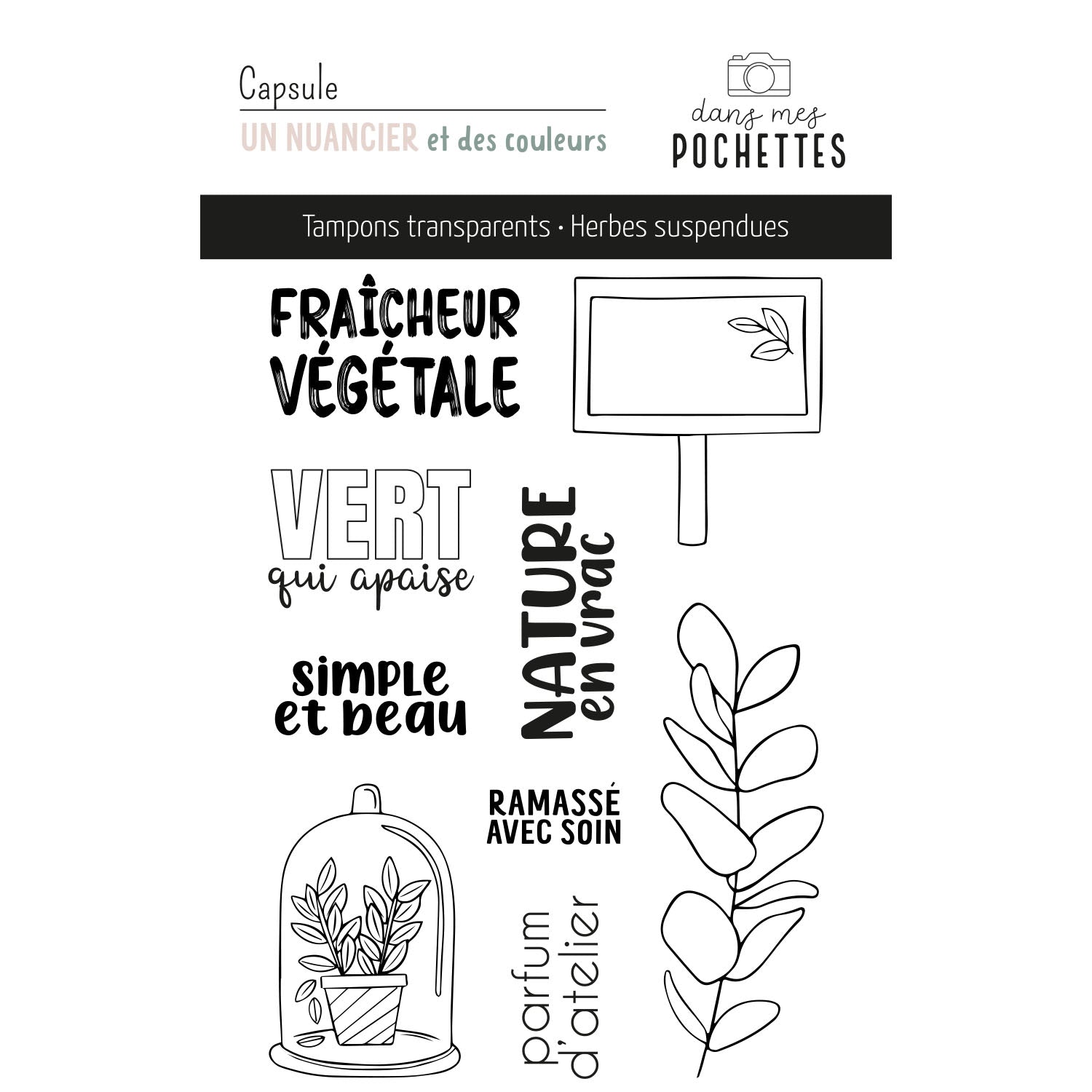 Planche de tampons clear – Herbes suspendues: motifs végétaux, plantes en pot sous cloche, et inscriptions végétales comme Fraîcheur végétale et Vert qui apaise.